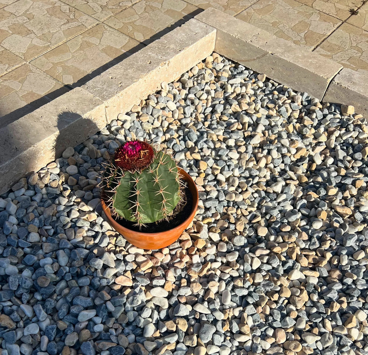 Galet HAWAI en Marbre – Galet décoratif blanc, crème et gris